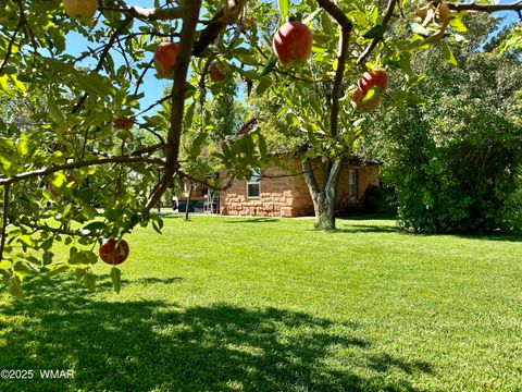 Tiny photo for 6442 W 1St Street, Woodruff, AZ 85942 (MLS # 257862)