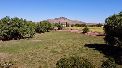 Tiny photo for 6442 W 1St Street, Woodruff, AZ 85942 (MLS # 257862)