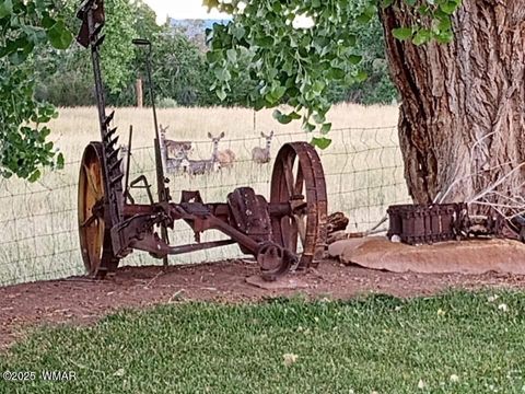 Tiny photo for 6442 W 1St Street, Woodruff, AZ 85942 (MLS # 257862)