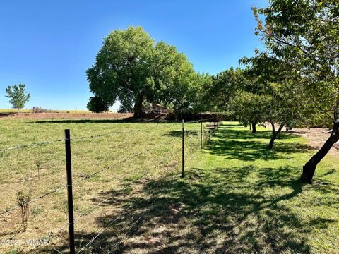 Tiny photo for 6442 W 1St Street, Woodruff, AZ 85942 (MLS # 257862)