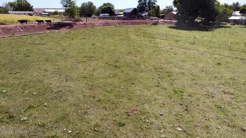 Tiny photo for 6442 W 1St Street, Woodruff, AZ 85942 (MLS # 257862)