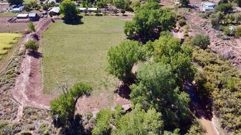 Tiny photo for 6442 W 1St Street, Woodruff, AZ 85942 (MLS # 257862)