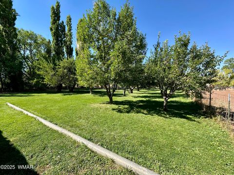 Tiny photo for 6442 W 1St Street, Woodruff, AZ 85942 (MLS # 257862)