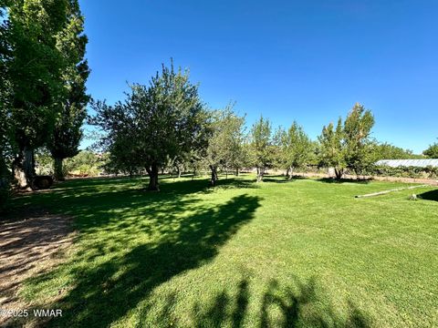 Tiny photo for 6442 W 1St Street, Woodruff, AZ 85942 (MLS # 257862)