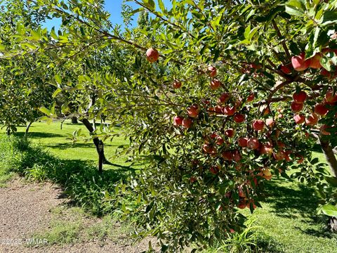 Tiny photo for 6442 W 1St Street, Woodruff, AZ 85942 (MLS # 257862)