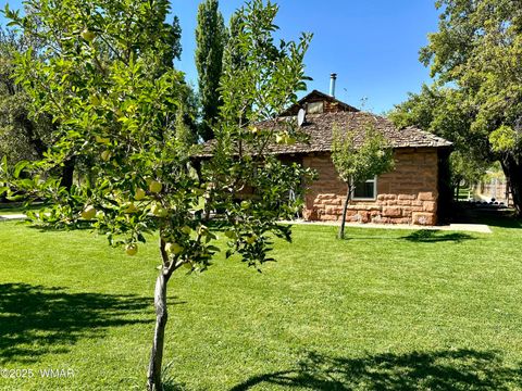 Tiny photo for 6442 W 1St Street, Woodruff, AZ 85942 (MLS # 257862)