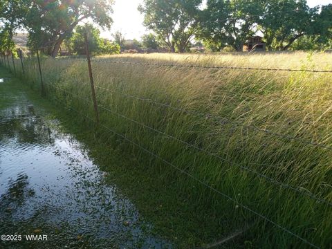 Tiny photo for 6442 W 1St Street, Woodruff, AZ 85942 (MLS # 257862)