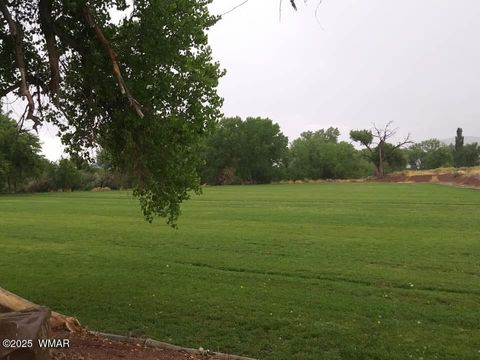 Tiny photo for 6442 W 1St Street, Woodruff, AZ 85942 (MLS # 257862)