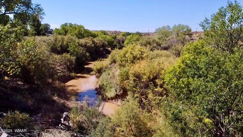 Tiny photo for 6442 W 1St Street, Woodruff, AZ 85942 (MLS # 257862)