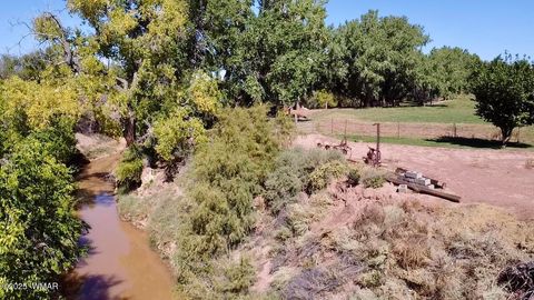 Tiny photo for 6442 W 1St Street, Woodruff, AZ 85942 (MLS # 257862)