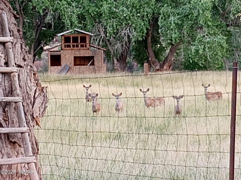 Tiny photo for 6442 W 1St Street, Woodruff, AZ 85942 (MLS # 257862)