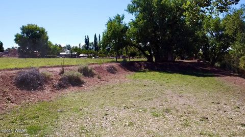 Tiny photo for 6442 W 1St Street, Woodruff, AZ 85942 (MLS # 257862)