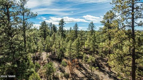 Tiny photo for 4531 W Fox Glove Lane, Show Low, AZ 85901 (MLS # 259074)