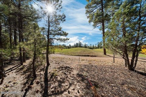 Tiny photo for 4531 W Fox Glove Lane, Show Low, AZ 85901 (MLS # 259074)