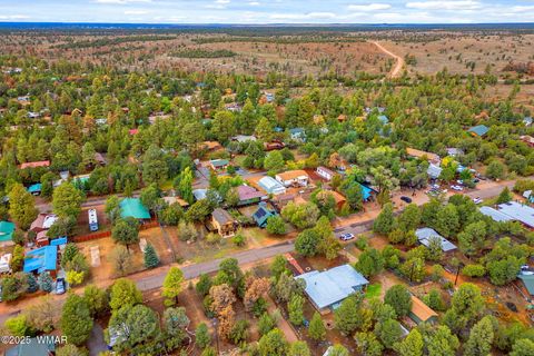 Tiny photo for 3390 Apache Drive, Overgaard, AZ 85933 (MLS # 258318)