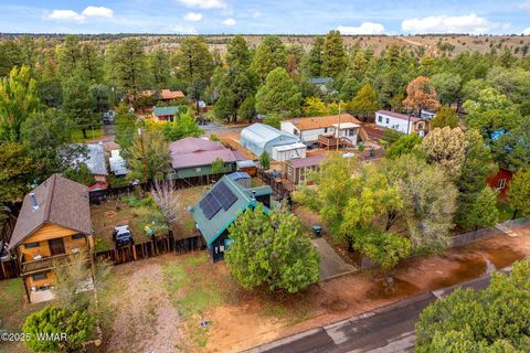 Tiny photo for 3390 Apache Drive, Overgaard, AZ 85933 (MLS # 258318)