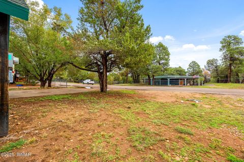 Tiny photo for 3390 Apache Drive, Overgaard, AZ 85933 (MLS # 258318)