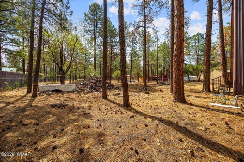 Tiny photo for 2861 Angel Trail, Overgaard, AZ 85933 (MLS # 262027)