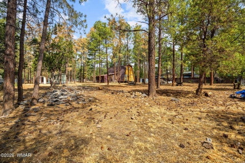 Tiny photo for 2861 Angel Trail, Overgaard, AZ 85933 (MLS # 262027)
