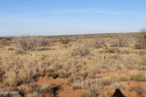 Tiny photo for Lot 224 CCR #2, Heber, AZ 85928 (MLS # 258802)