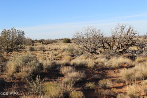 Tiny photo for Lot 224 CCR #2, Heber, AZ 85928 (MLS # 258802)