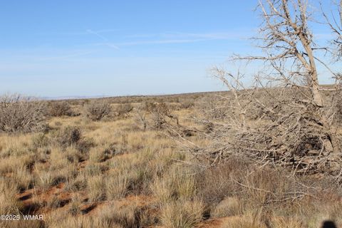 Tiny photo for Lot 224 CCR #2, Heber, AZ 85928 (MLS # 258802)