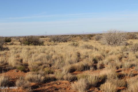 Photo of Lot 224 CCR #2, Heber, AZ 85928 (MLS # 258802)