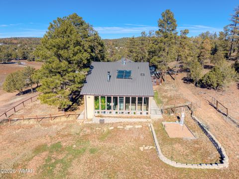 Tiny photo for 5408 Corda Lane, Pinedale, AZ 85934 (MLS # 259345)