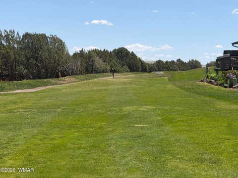 Tiny photo for 1937 Lynx Drive #Lot 24, Show Low, AZ 85901 (MLS # 261137)