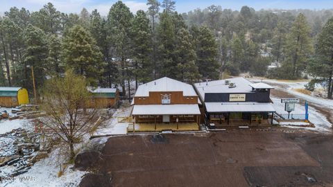 Tiny photo for 1898 State Route 260, Overgaard, AZ 85933 (MLS # 257880)