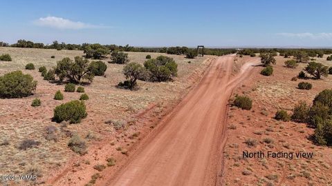 Tiny photo for 4173 Colt Road, Snowflake, AZ 85937 (MLS # 255800)