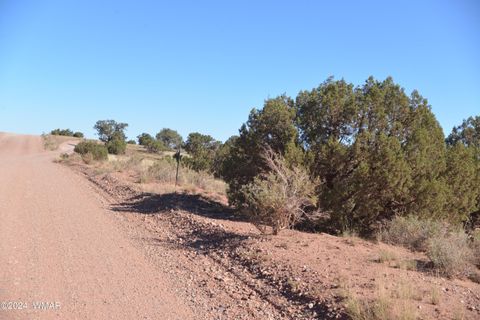 Tiny photo for 4173 Colt Road, Snowflake, AZ 85937 (MLS # 255800)
