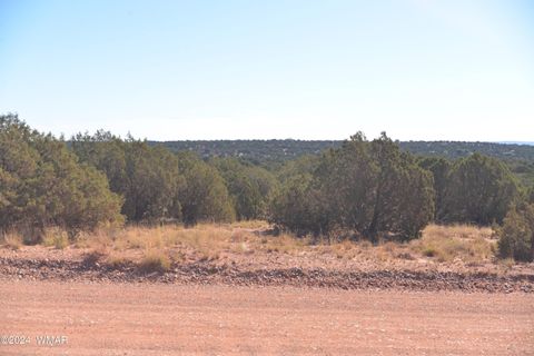 Photo of 4173 Colt Road, Snowflake, AZ 85937 (MLS # 255800)