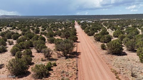Tiny photo for 4173 Colt Road, Snowflake, AZ 85937 (MLS # 255800)