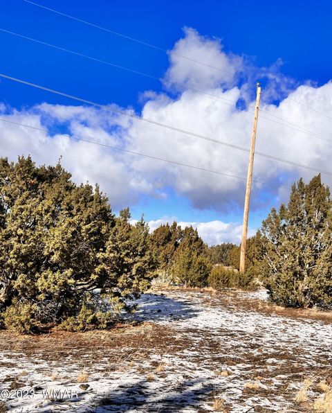 Tiny photo for 11 County Road 3149, Vernon, AZ 85940 (MLS # 248975)