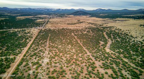 Tiny photo for 11 County Road 3149, Vernon, AZ 85940 (MLS # 248975)