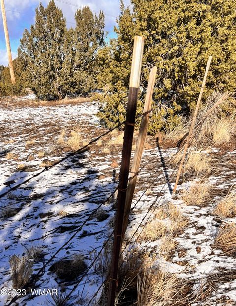 Tiny photo for 11 County Road 3149, Vernon, AZ 85940 (MLS # 248975)