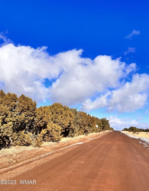 Tiny photo for 11 County Road 3149, Vernon, AZ 85940 (MLS # 248975)