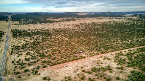 Tiny photo for 11 County Road 3149, Vernon, AZ 85940 (MLS # 248975)