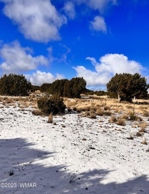 Tiny photo for 11 County Road 3149, Vernon, AZ 85940 (MLS # 248975)