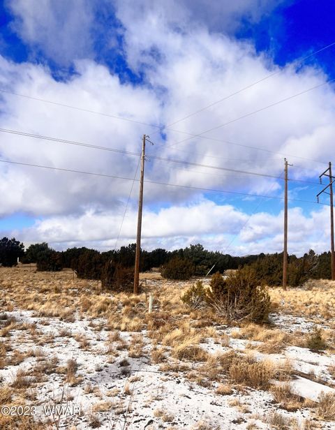 Tiny photo for 11 County Road 3149, Vernon, AZ 85940 (MLS # 248975)