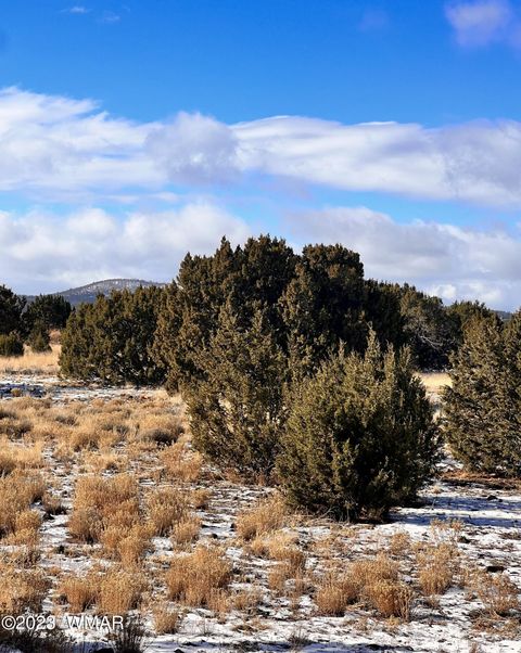 Tiny photo for 11 County Road 3149, Vernon, AZ 85940 (MLS # 248975)