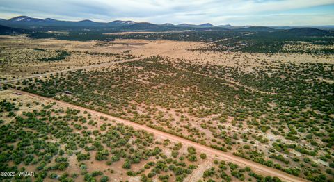 Tiny photo for 11 County Road 3149, Vernon, AZ 85940 (MLS # 248975)