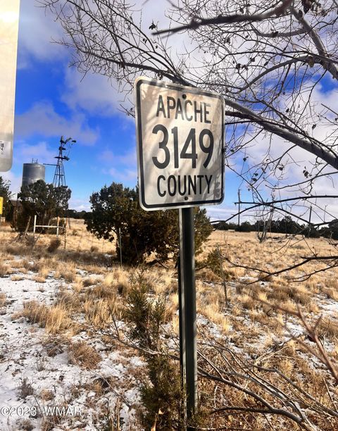 Tiny photo for 11 County Road 3149, Vernon, AZ 85940 (MLS # 248975)