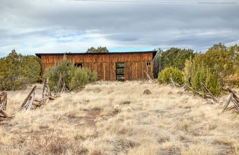 Tiny photo for 11 County Road 3149, Vernon, AZ 85940 (MLS # 248975)