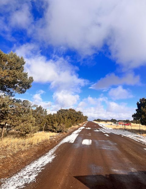 Tiny photo for 11 County Road 3149, Vernon, AZ 85940 (MLS # 248975)