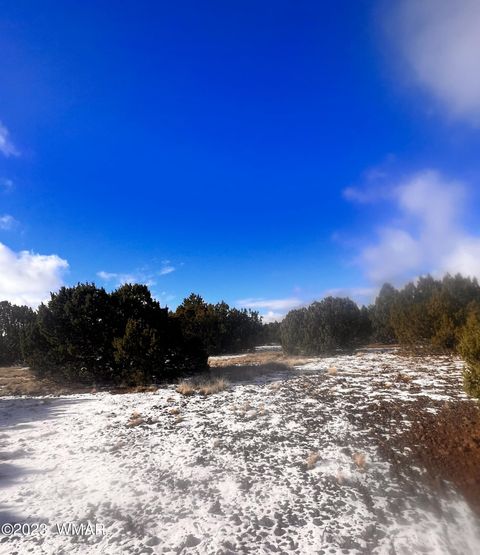 Tiny photo for 11 County Road 3149, Vernon, AZ 85940 (MLS # 248975)