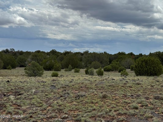 8 COUNTY RD 8080, CONCHO, AZ 85924 - Image 1d152d77bdce004662f9c8e2942c2ca8/3969718803