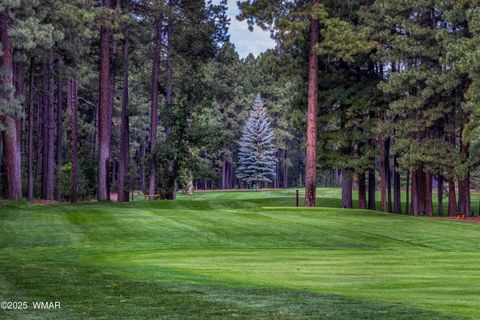 Tiny photo for 3723 Crown Dancer Drive, Pinetop, AZ 85935 (MLS # 257772)