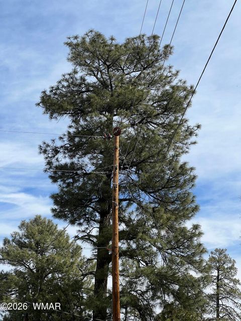 Tiny photo for 2856 Rainbow Trail, Overgaard, AZ 85933 (MLS # 259908)